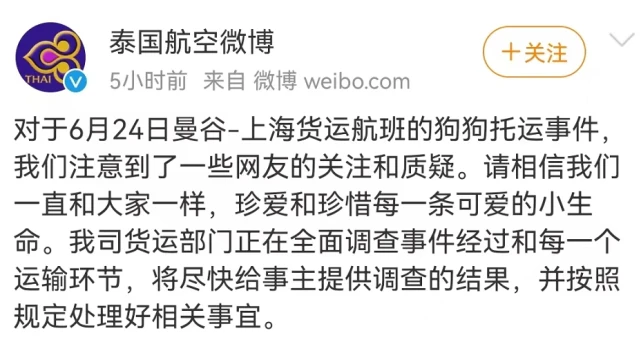 知名女星的爱犬托运后死亡，航空公司回应…宠物托运到底有多乱？
