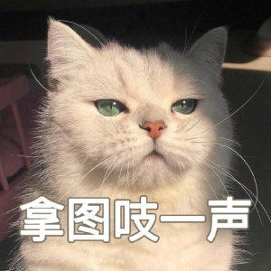 丰富一下你的表情包｜6.26