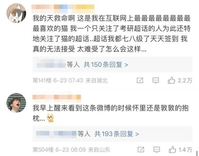 又一只网红猫突然去世，竟因为这种致命的疾病！
