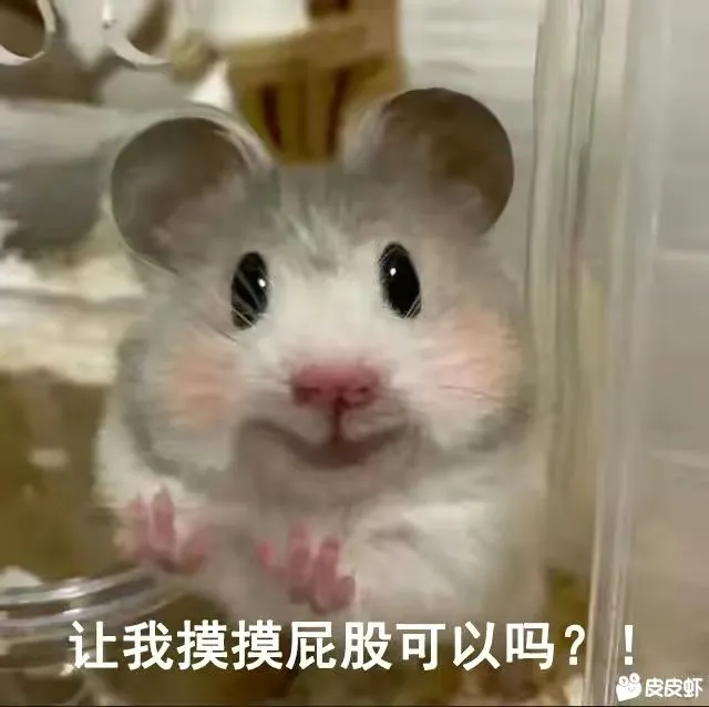 沙雕表情包分享