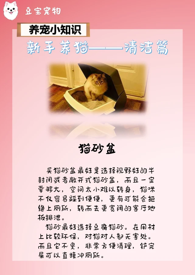 【豆宝宠物】新手养修喵之清洁篇