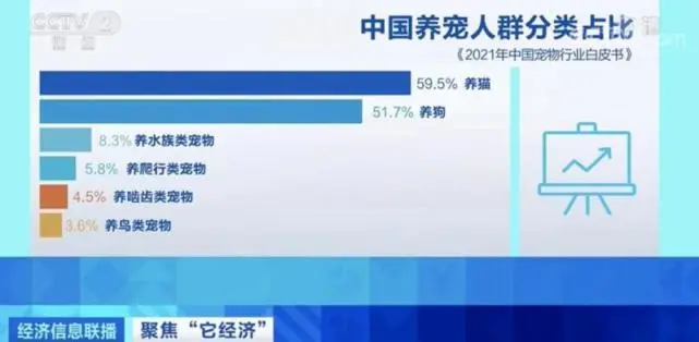 我国一人户家庭超1.25亿户：成养宠主力，养猫人群超过养狗人群