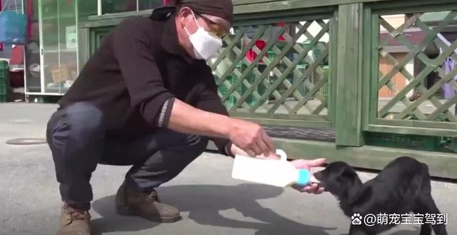 小羊因为毛色不对被羊妈妈嫌弃，明明是自己生的却怀疑是别人的！