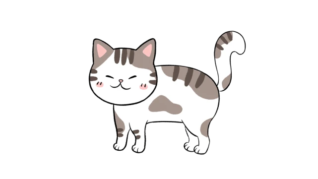 猫咪尾巴是如何表达情绪的？