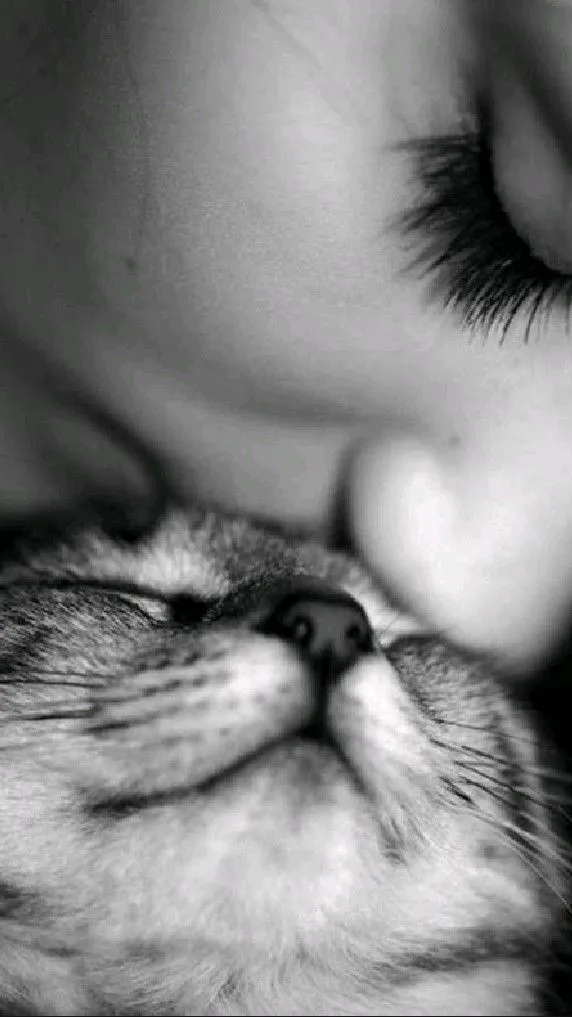 你的猫更喜欢你吗？