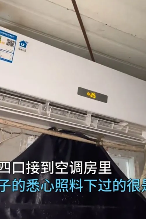 流浪猫热到吐舌头，随后男子将4只猫安置在空调房：猫来富呀