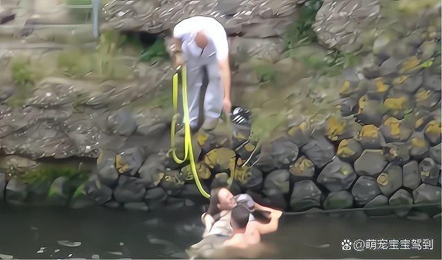 狗狗意外落水主人在岸边求救，女子跳下水救狗却差点被它坑死！