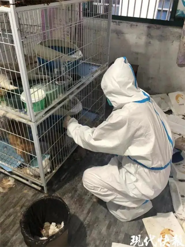 隔离不隔爱，宠物“临时铲屎官”陈忠龙让疫情防控有温度