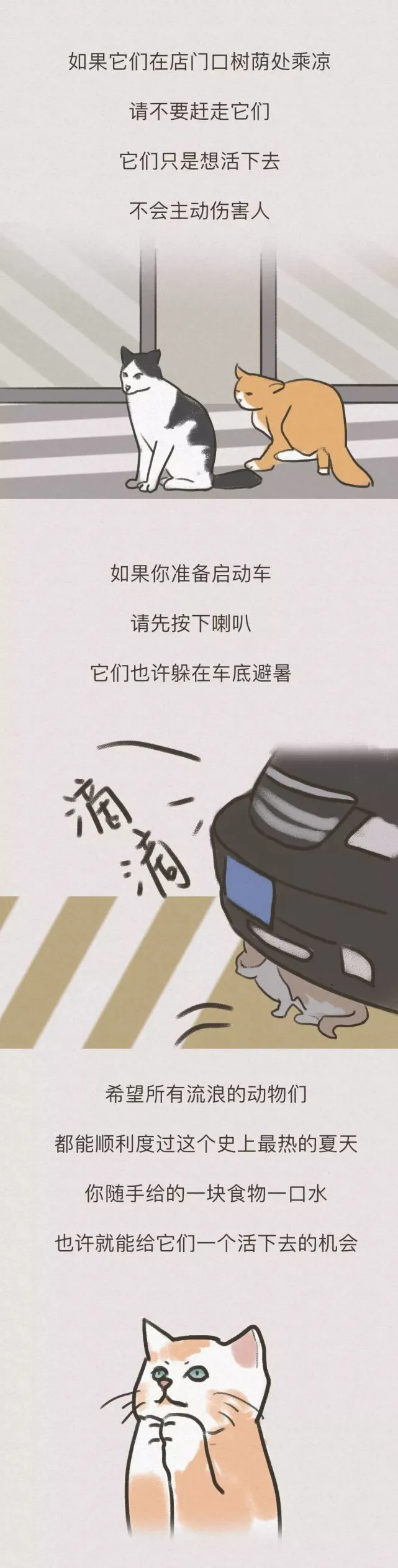 “请救救我，我快要饿死了！”
