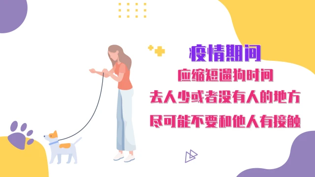 防疫科普｜疫情期间，如何对宠物消毒防护？