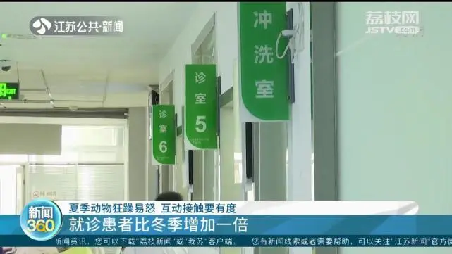 高温天动物狂躁易怒 南京被狗咬伤就诊患者比冬季增加一倍