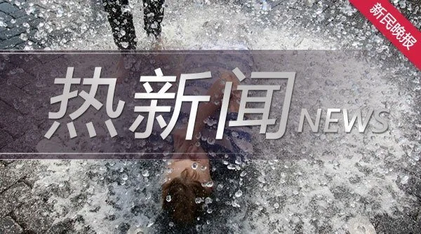 《夏日宠物降温指南》：狗睡冰垫降温，猫躺“冷锅”度暑