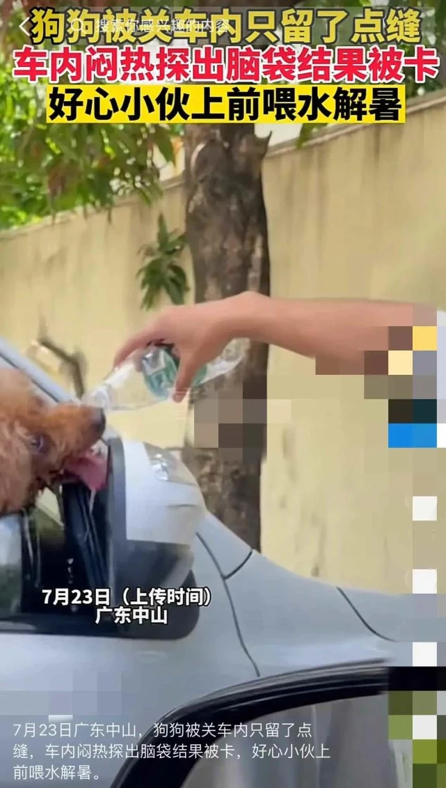 狗狗被车主关车内只留了一点缝，车内闷热探头被卡，好心小伙上前喂水解暑！