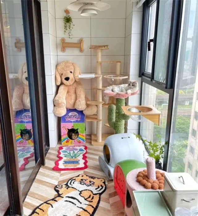 一位浙江“猫奴”姑娘，利用阳台角落打造猫咪乐园，真的太有趣了