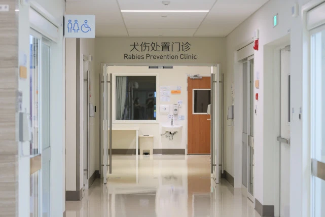 高温下注意猫狗情绪，上海一医院昨日接诊新发犬伤120多例