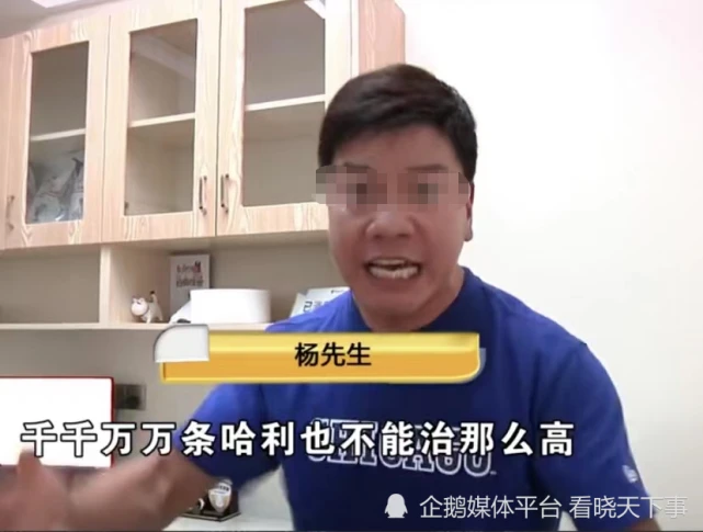 金毛放在后备箱导致中暑，就医后主人质疑医院见人下菜碟 拒绝接狗