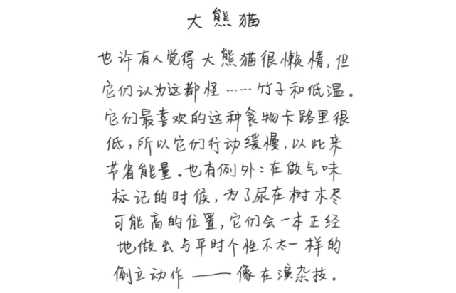 别笑！动物朋友们总能做出一些令人颇感惊讶的事，比如……