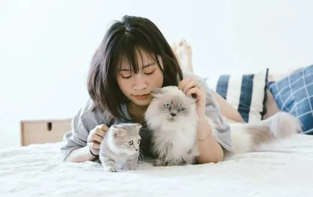 猫咪喜欢被铲屎官抚摸的7个地方，正确撸猫的步骤