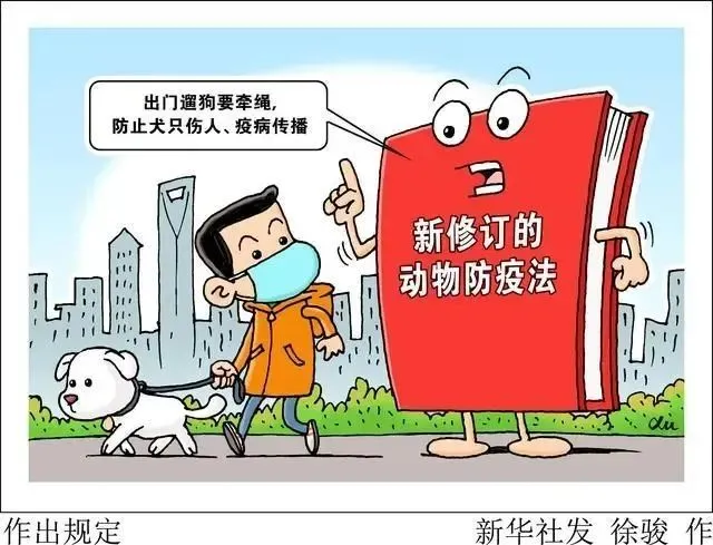 依法养犬第二课：看看《动物防疫法》是如何规范养犬行为的？