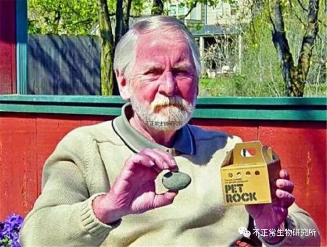 有没有不用喂食、也不会生病死亡的宠物？答案是肯定的