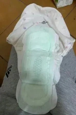 爆毛秋田狂打喷嚏，检查竟是对狗毛过敏？狗狗叹气：生而为狗我很抱歉！
