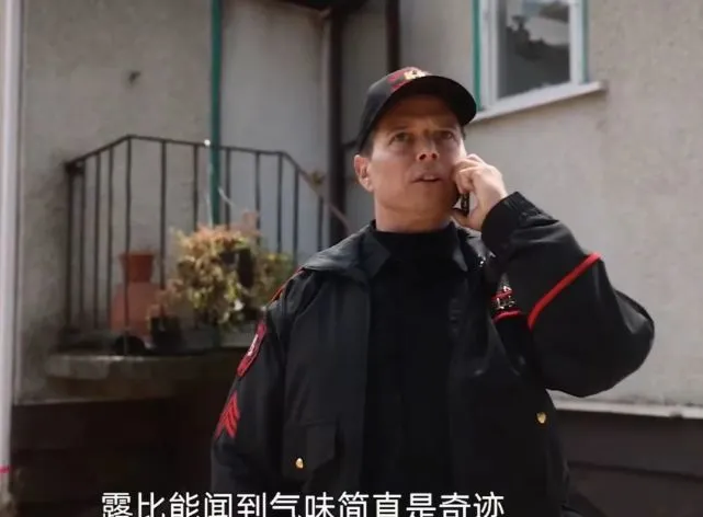 差点被安乐的流浪狗，找到埋在地下的尸体，最终逆袭成警犬