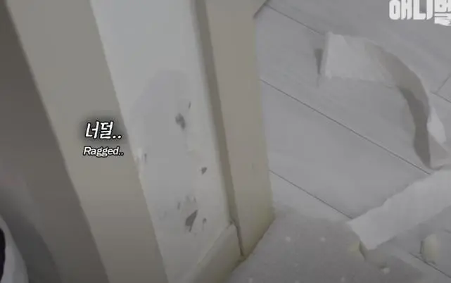 韩国小女孩养的两只宠物迷你猪秒变大胖猪，如今带它们刻苦运动节食减肥！