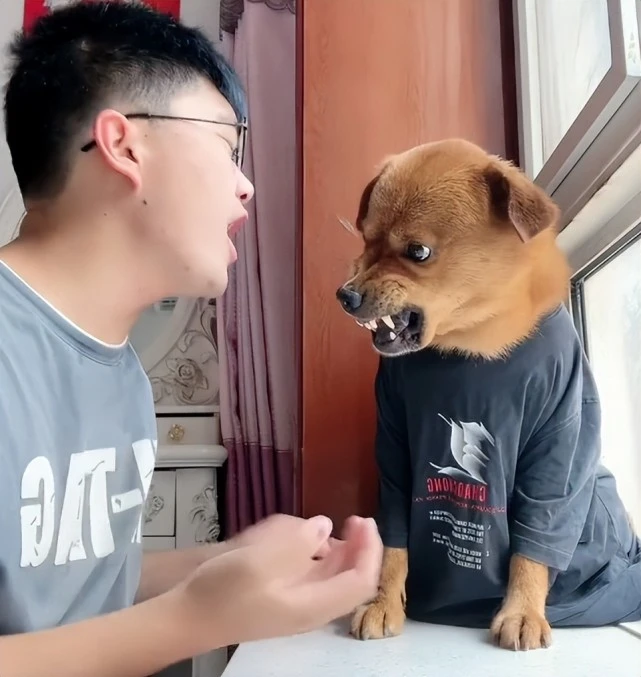 “委屈小狗”疑被虐待？用针扎狗拍视频，现场网友称其精神有问题