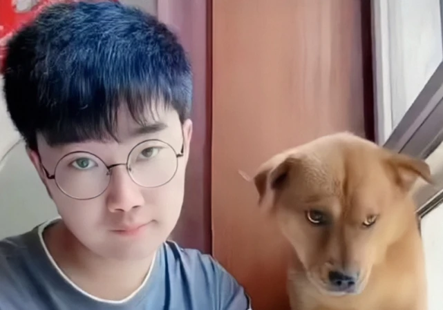 曝600W粉宠物博主虐狗，牙齿断裂毛发被拔，主人拒绝鉴定