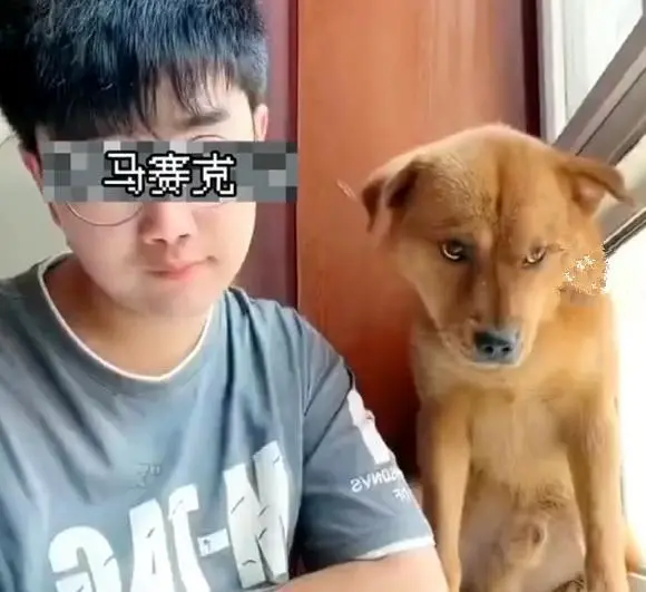 “小胖科学家”虐狗后续：本人拒绝给狗做伤情鉴定，被网友堵家里