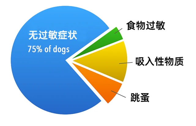 一篇文章了解宠物食物过敏