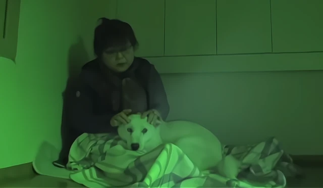 男主人去世后狗狗也不想活了，女主人日夜陪伴想要挽救狗狗的生命