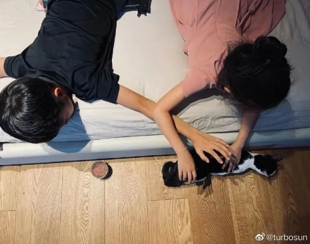 爱心满满！孙俪分享领养流浪动物的故事 直呼：愿流浪猫狗都幸福