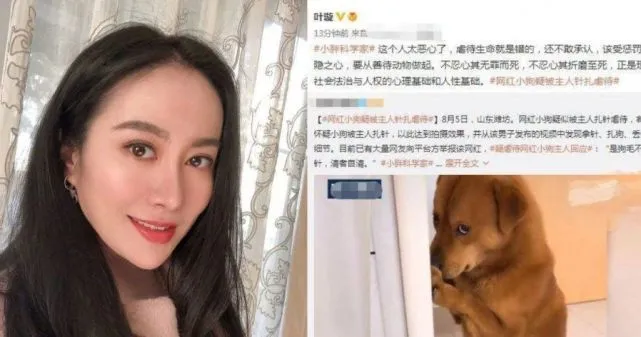 600万粉丝网红“为涨粉虐狗”将针扎狗身上，叶璇：这个人太恶心