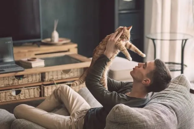 你家猫盯着你看，其实是想吃掉你？