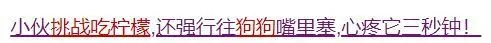 全网最委屈小狗疑似被主人扎针，这些无形虐狗行为一直在我们面前