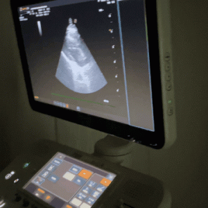宠TA｜医说：X光、B超、CT……到底该怎么选？