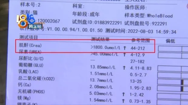 “苟顺”洗澡时发现伤口 “嘉馨”用药后急性肾衰？