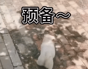 女子在家收拾卫生，开门通风时一看：门缝里怎么有个毛茸茸的东西