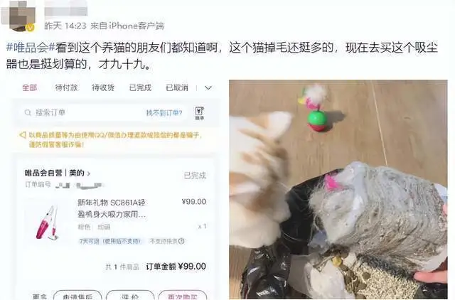年轻人惹上“猫病”，宠物经济迎爆发，唯品会数据印证实情