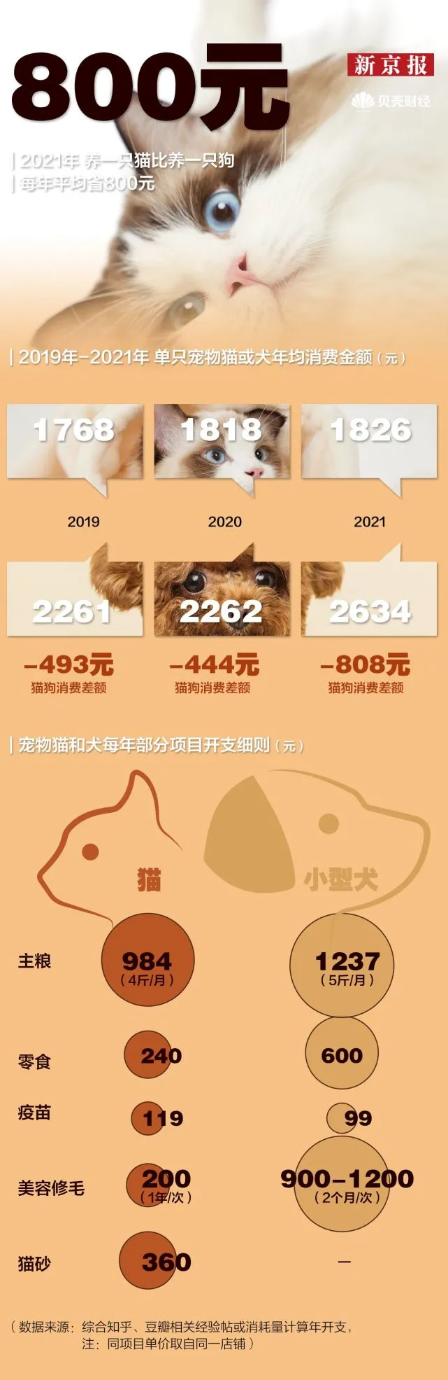 数读｜它经济火热，3000万猫咪“铲屎官”养出千亿市场