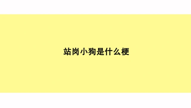 【梗研究】“站岗小狗”是什么梗？动物表情包，治愈的是人心
