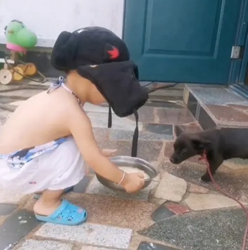 2岁儿子将妈妈早饭端给狗，女子看见后语塞：我还不如一条狗？