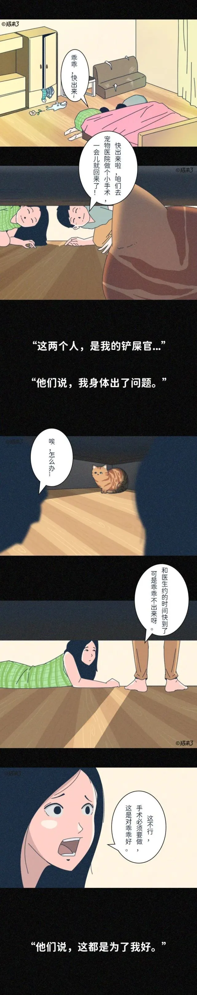 “我逃过了虐猫，却没逃过这场手术。”