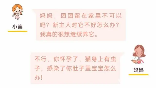 怀孕了，家里的猫咪还能养吗？