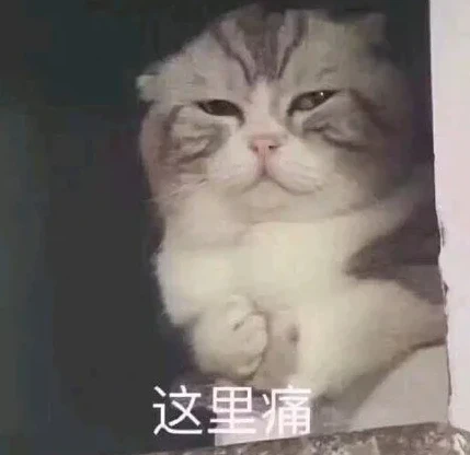 猫咪偷吞20公分棉线狂呕吐，紧急送医“肠子开5洞”…铲屎官崩溃