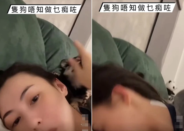 张柏芝躺床上跟宠物玩耍，狗狗咬脸痛苦不断，素颜出镜面色红润