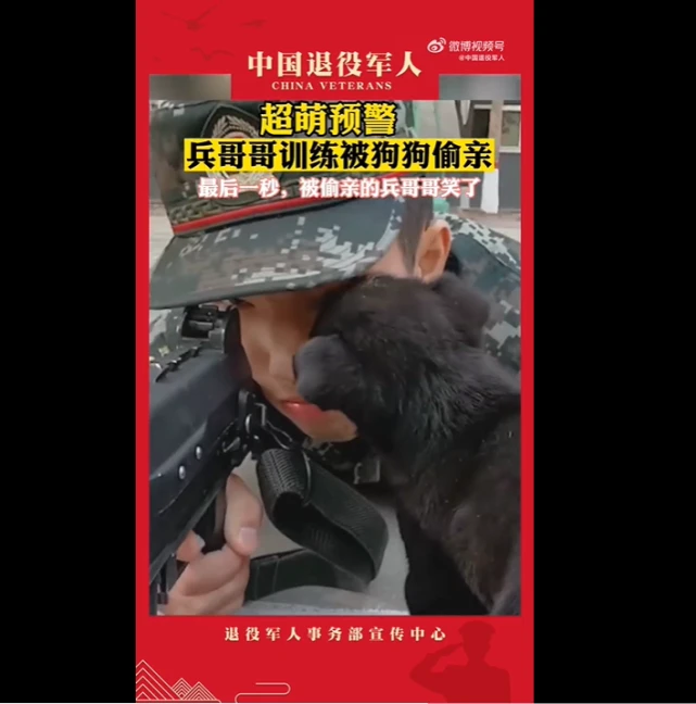 高萌来袭！武警战士训练被狗狗亲了一口