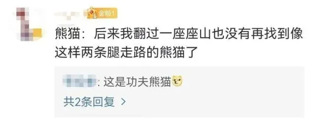 这组照片火了！网友：熊猫怕不怕我不知道，反正我是挺害怕！