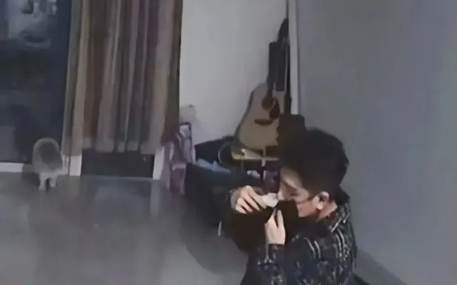 小伙喝酒后将猫咪毛发剃光，隔天清醒后语塞了：在线求个主意